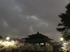 -武汉大学-樱园