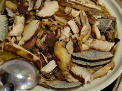 -杨记山珍鸡煲菌汤锅