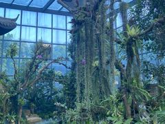 -东莞植物园