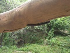 -慕田峪长城