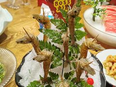 -尚海豆捞(乐虹坊店)