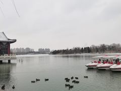 -天津水上公园