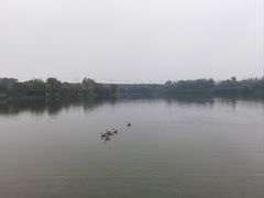 -西安浐灞国家湿地公园