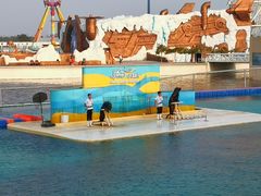 -秦皇岛乐岛海洋王国