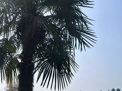 -夏河溪乡野公园