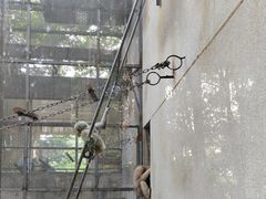 -昆明动物园