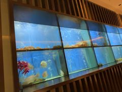 -珍宝海鲜JUMBO Seafood(尚嘉店)