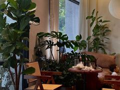 -COTTON CAFE(德信·中外公寓店)