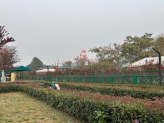 -季高兔窝窝亲子园(上海薰衣草公园店)