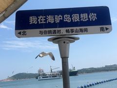 -海驴岛(荣成市)