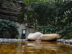 -天目湖涵田半山温泉