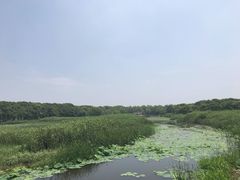-同里国家湿地公园