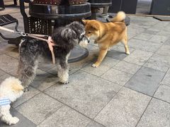 -宝龙城(杭州滨江店)