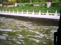 -皇家御河游(紫御湾码头)