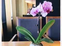-粤秀餐厅(国货店)