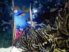 -太平洋海底世界