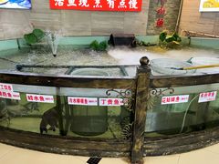 -楚鱼王·河鲜·湖北菜(华农店)