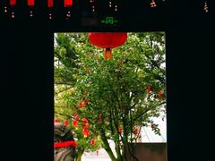 -蒋氏故居