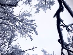 -秦岭风景区