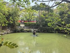 -汇龙潭