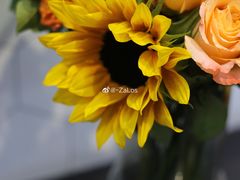 -瑞幸咖啡(洛阳正大广场店)