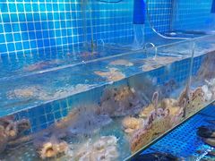 -前王院•巧克力海鲜市集餐厅(万平口店)