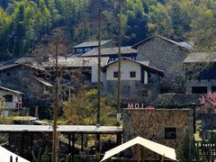 -MOJ coffee(瓯海泽雅水碓坑店)