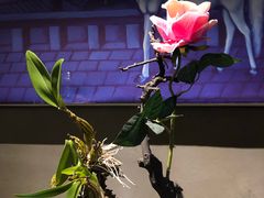 -时光乌托邦空中花园餐厅川味·融合菜(幸福广场店)