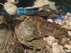 -宴立方海鲜自助(义乌万达广场店)