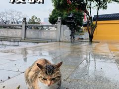 -宝通禅寺
