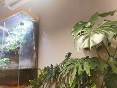 -小意思咖啡店(草桥店)