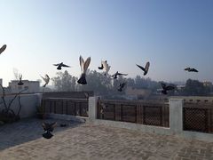 -维乐口腔医院(星海湾分院)