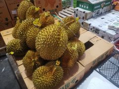-双福水果批发市场