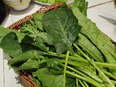 -清真·马家火锅美食城(镇江北路店)