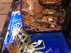 -蟹道乐(道顿堀本店)