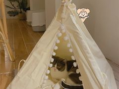 -猫友咖啡店(玉林西路店)