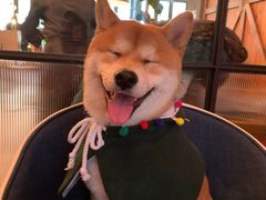 -the rug 飞毯 (朝阳公园店)