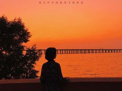 -宝安西湾红树林湿地公园