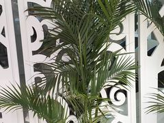 -北京观赏动物医院·24小时大型综合·猫专科·异宠专科