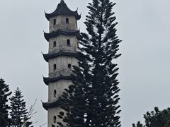 -江心屿景区