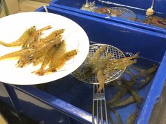 -漳州瑰丽半岛酒店·原素全日制餐厅