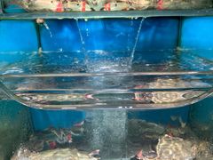 -海味当家·蒸锅海鲜(星海公园店)