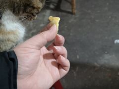 -周记热干面豆皮大王(桃花东街店)