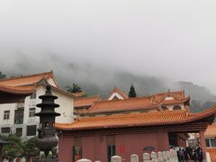 -深圳仙湖植物园
