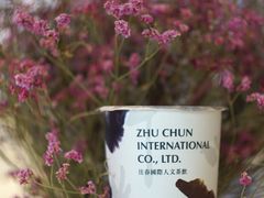 -注春·荞麦奶茶(新天地旗舰店)