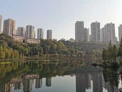 -重庆彩云湖湿地公园