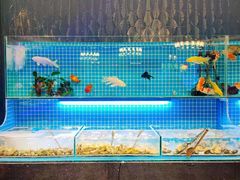 -罗马假日海鲜自助餐厅(星湖广场店)