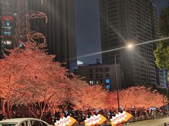 -西北湖绿化广场