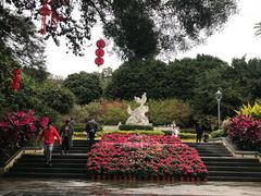 -金鸡山公园