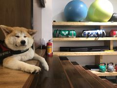 -YCHL Studios健身工作室(市二宫店)